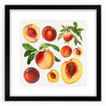 Extra large abstract art print featuring colorful, textured fruits, framed in black, suitable for living room decor.