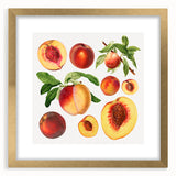 Extra large abstract art print of vibrant fruits on textured canvas, framed in gold, ideal for living room decor.