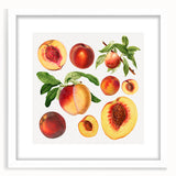 Abstract art print featuring assorted fruits in vibrant colors, framed in white, ideal for dining room decor.