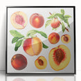 Large abstract wall art featuring assorted fruits in vibrant colors on a black acrylic framed print.