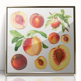Large art print of assorted fruits in vibrant colors on a gold framed acrylic, in mid-century modernist style.