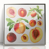 Mid-century modernist art featuring an array of colorful fruits on a silver-framed acrylic print.