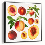 Black and white vintage poster art of fruits on framed canvas, ideal for bedroom wall decor.