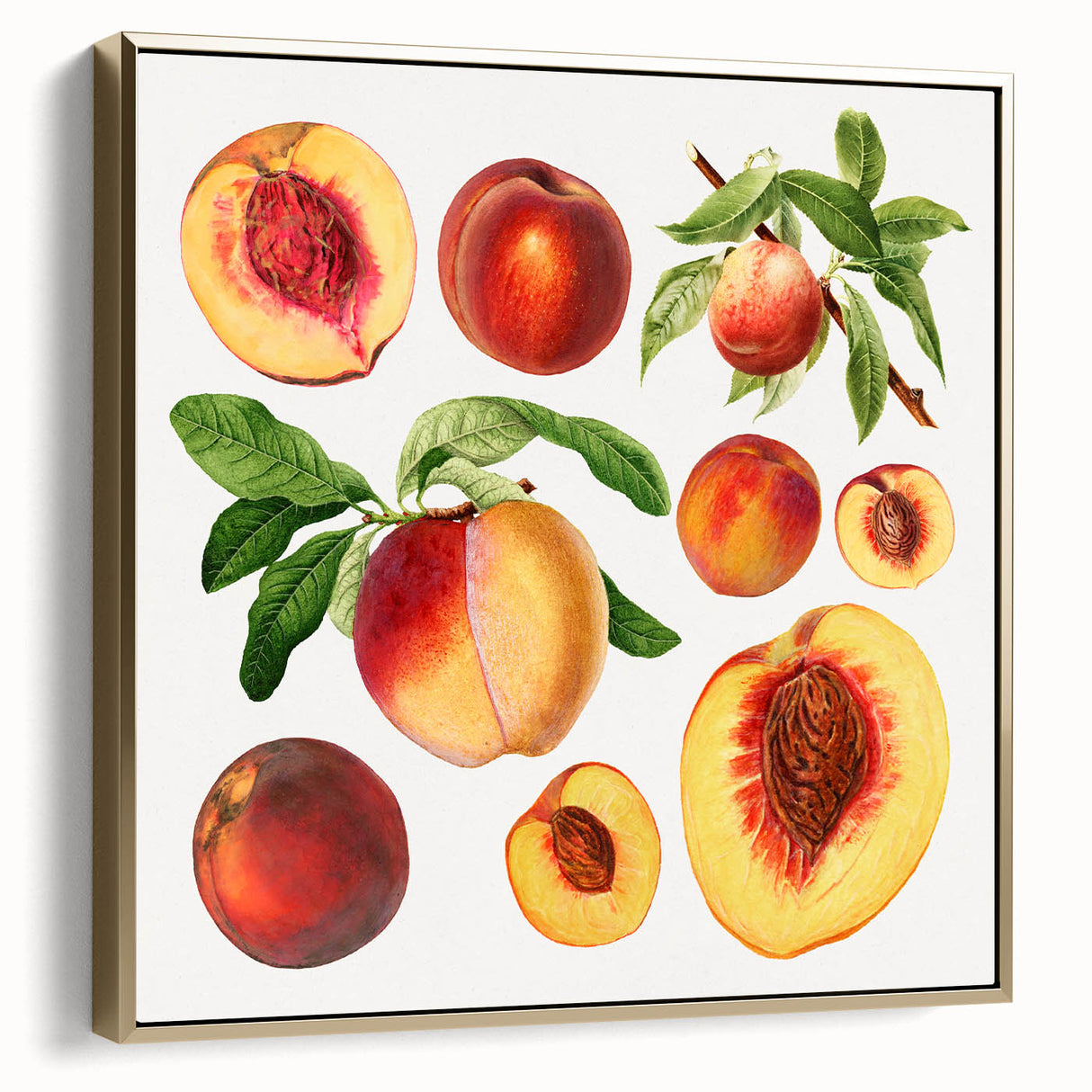 Framed canvas featuring a vintage poster of a landscape with fruit trees in muted silver and gold tones.