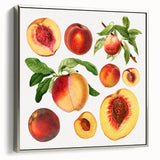 Landscape art painting of colorful fruits on black background, framed in silver, ideal for kitchen wall decor.