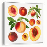 Vintage poster art featuring an array of colorful fruits on a large framed canvas, suitable for living room decor.