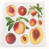Large black and white photo of assorted fruits on stretched canvas, ideal for kitchen wall art.