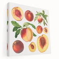 Large canvas wall art featuring a variety of colorful fruits, ideal for kitchen decor.