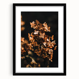 Abstract art print featuring a textured, colorful depiction of fall, in a large black frame, ideal for living room decor.
