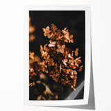 Extra large rolled print of a fall-themed floral art on canvas, featuring warm orange and red tones.
