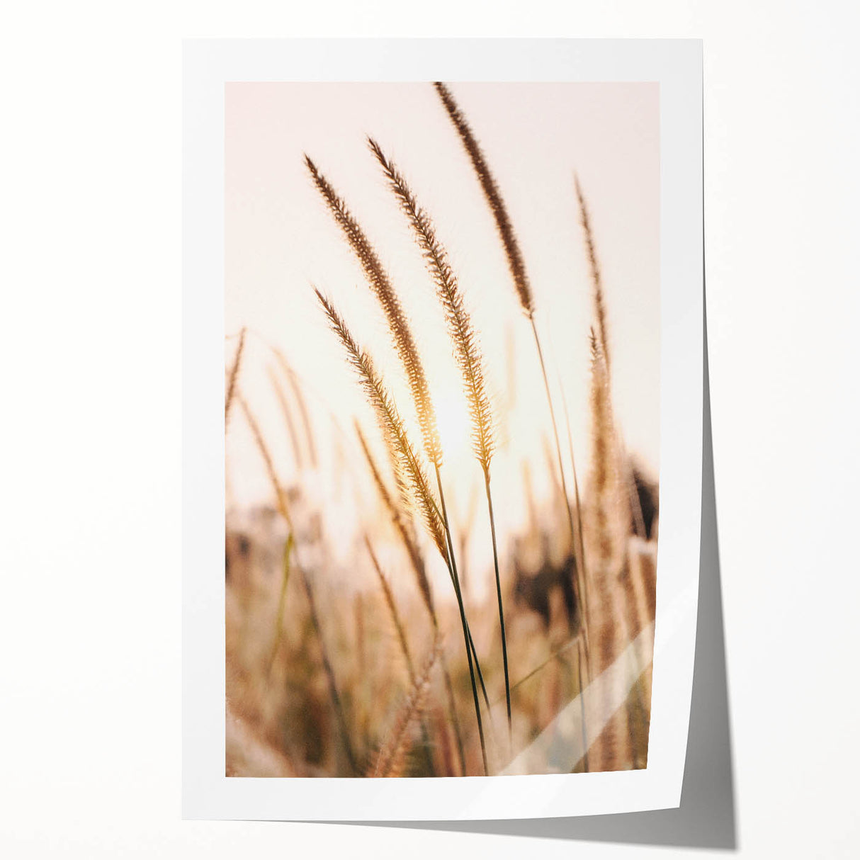 Extra large rolled canvas featuring a floral design in pastel shades, ideal for art wall dining room or bathroom.