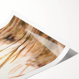 Extra large wall art featuring line art flowers in black on white, rolled canvas, ideal for large living room decor.