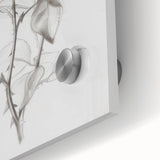 Black & White Rose Sketch Living Room Wall Art – Canvas Print