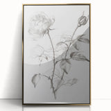Black & White Rose Sketch Living Room Wall Art – Canvas Print