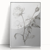 Black & White Rose Sketch Living Room Wall Art – Canvas Print