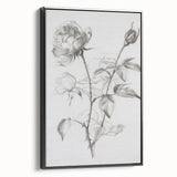 Black & White Rose Sketch Living Room Wall Art – Canvas Print