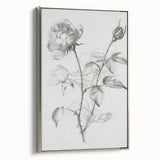 Black & White Rose Sketch Living Room Wall Art – Canvas Print