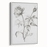 Black & White Rose Sketch Living Room Wall Art – Canvas Print
