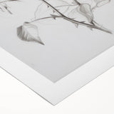 Black & White Rose Sketch Living Room Wall Art – Canvas Print