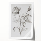 Black & White Rose Sketch Living Room Wall Art – Canvas Print