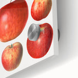 Large abstract wall art featuring assorted fruits in vibrant colors on acrylic glass, ideal for dining room decor.