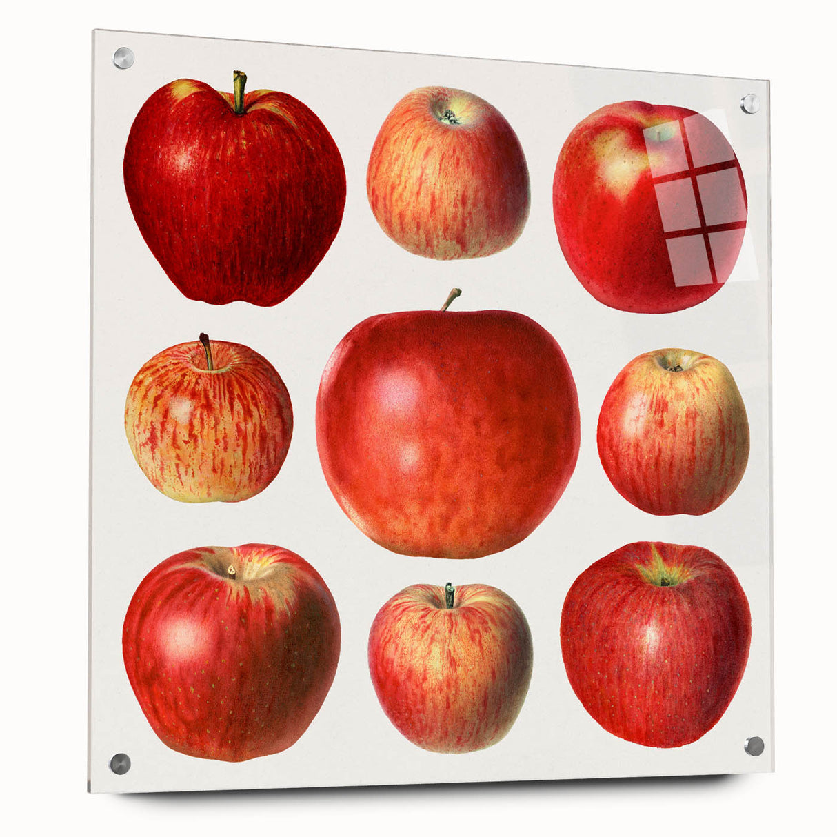 Acrylic print of large abstract wall art featuring assorted fruits in vibrant colors, ideal for dining room decor.