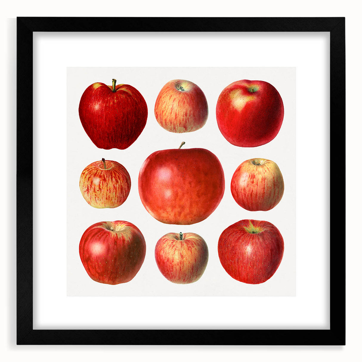 Extra large abstract art print featuring textured, colorful fruits on a black framed canvas, ideal for living room decor.