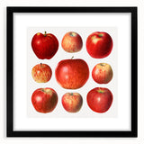 Extra large abstract art print featuring textured, colorful fruits on a black framed canvas, ideal for living room decor.