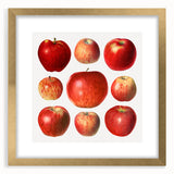 Extra large abstract art print featuring textured fruits in vibrant colors, framed with a gold mat.