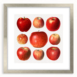 Textured art print of abstract fruits in vibrant orange and green, framed in silver, ideal for bedroom art.