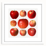 Abstract art print of assorted fruits in vibrant colors on a white framed mat, ideal for dining room decor.