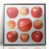 Large abstract wall art featuring assorted fruits in bold colors on black acrylic, framed, ideal for modern kitchen decor.