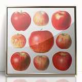 Framed acrylic print featuring assorted fruits in bold colors, styled in mid-century modernist design.