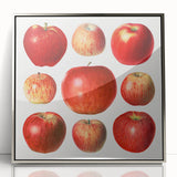 Mid-century modernist art featuring assorted fruits in vibrant colors on a silver-framed acrylic print.