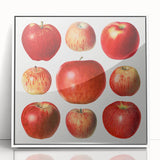 Acrylic print of assorted fruits in art deco style, with a white frame, ideal for modern kitchen decor.