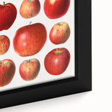 Extra large black wall art featuring a close-up of colorful, textured fruits on framed canvas, ideal for living room decor.