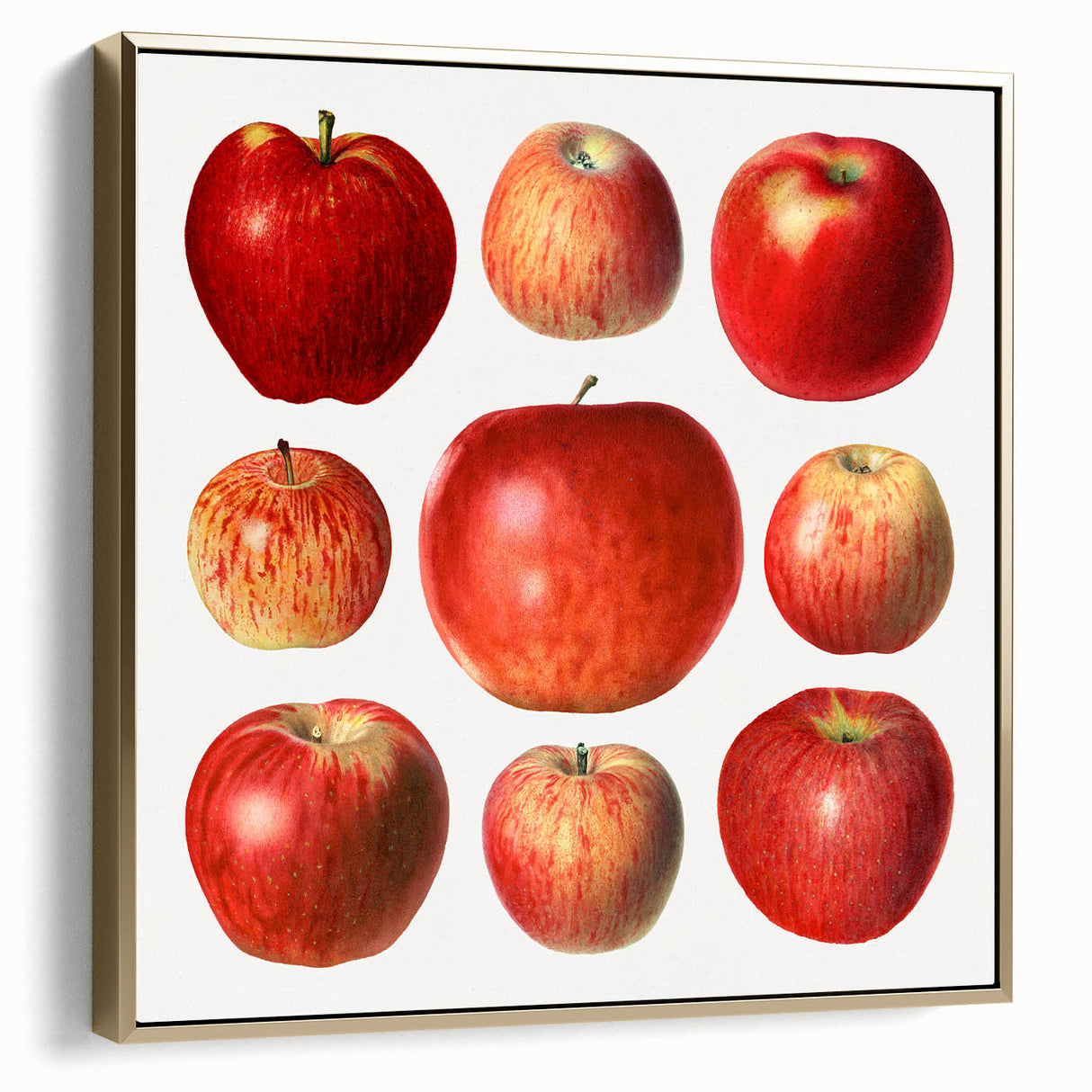 Vintage poster art featuring a landscape with fruits in silver and gold tones on a black framed canvas.