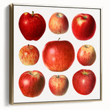 Vintage poster art featuring a landscape with fruits in silver and gold tones on a black framed canvas.