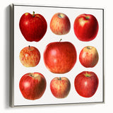 Framed canvas featuring a vintage poster of colorful fruits, ideal for kitchen wall art.