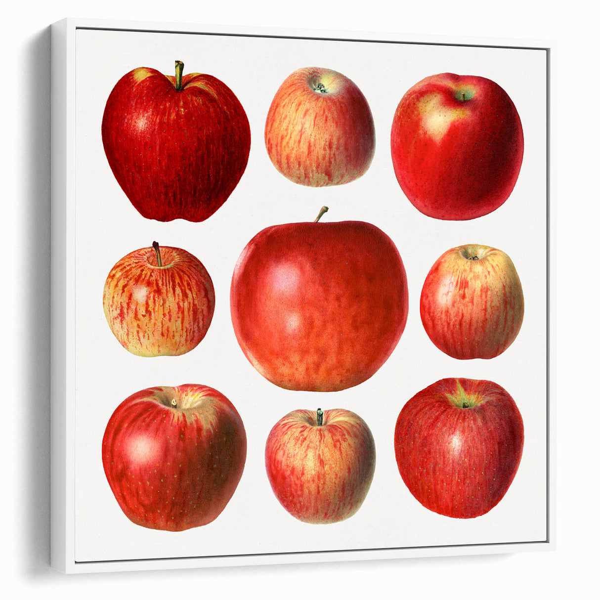 Vintage poster art of colorful fruits on a large framed canvas, ideal for living room decor.