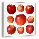 Vintage poster art of colorful fruits on a large framed canvas, ideal for living room decor.