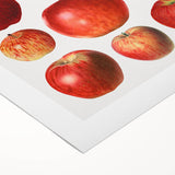 Art deco poster featuring an array of colorful fruits on rolled canvas, suitable for dining room decor.