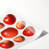 Extra large wall art featuring line art flowers in monochrome, printed on rolled canvas, ideal for large living room decor.