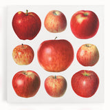 Black and white stretched canvas featuring an assortment of fruits, ideal for kitchen wall art.