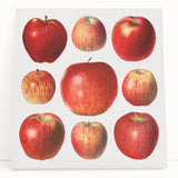 Large black and white stretched canvas featuring assorted fruits, ideal for kitchen wall art.