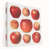 Large canvas print featuring an array of colorful fruits, ideal for kitchen wall art.