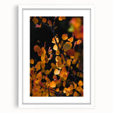 Abstract art print featuring warm autumn hues on a white framed canvas, suitable for dining room or bedroom decor.