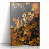 Art deco poster featuring an autumnal tree in vibrant orange and red hues, acrylic print framed in white.