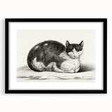 Classic Romantic Paintings - Lying Cat Illustration Wall Art