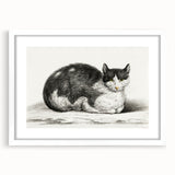 Classic Romantic Paintings - Lying Cat Illustration Wall Art